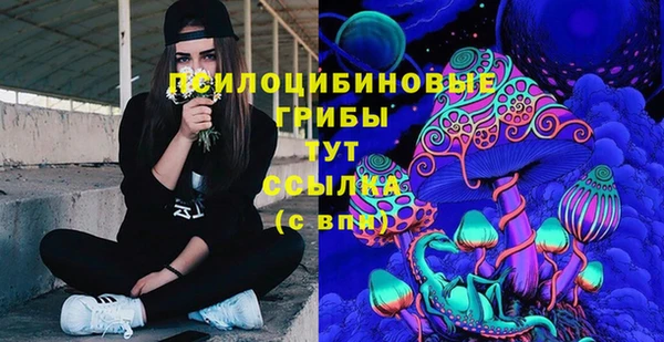 не бодяженный Бородино