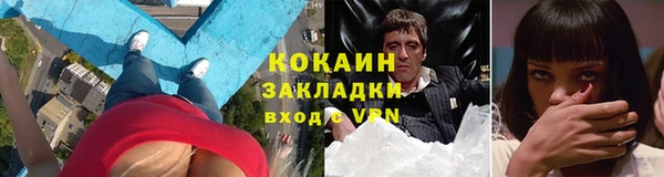 не бодяженный Бородино