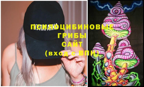 не бодяженный Бородино