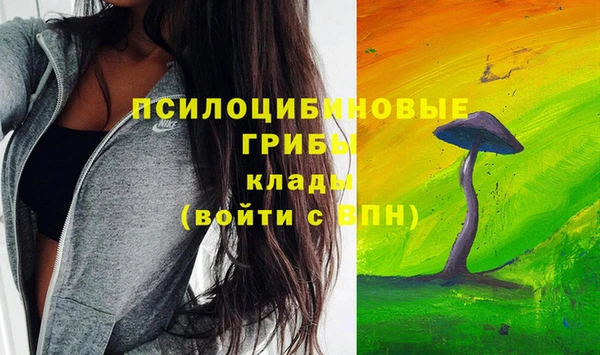 не бодяженный Бородино