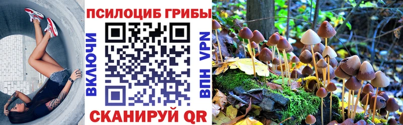 Псилоцибиновые грибы GOLDEN TEACHER  Одинцово 